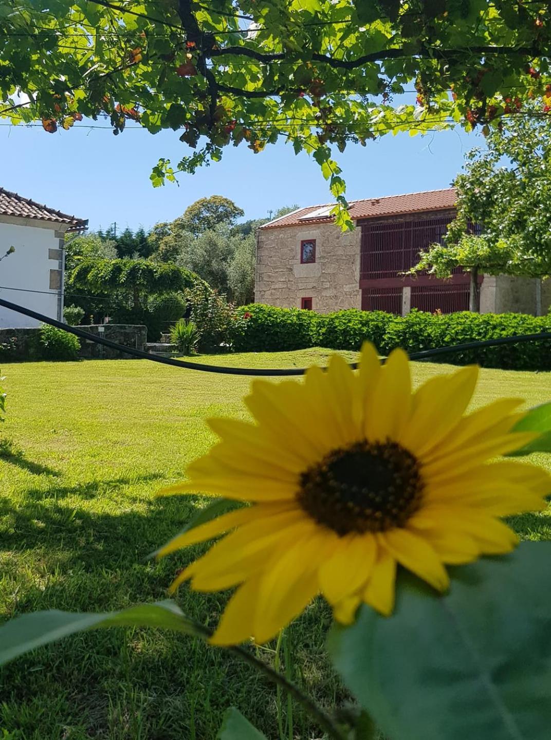 Casas Da Quinta Da Cancela Balugães Exterior foto